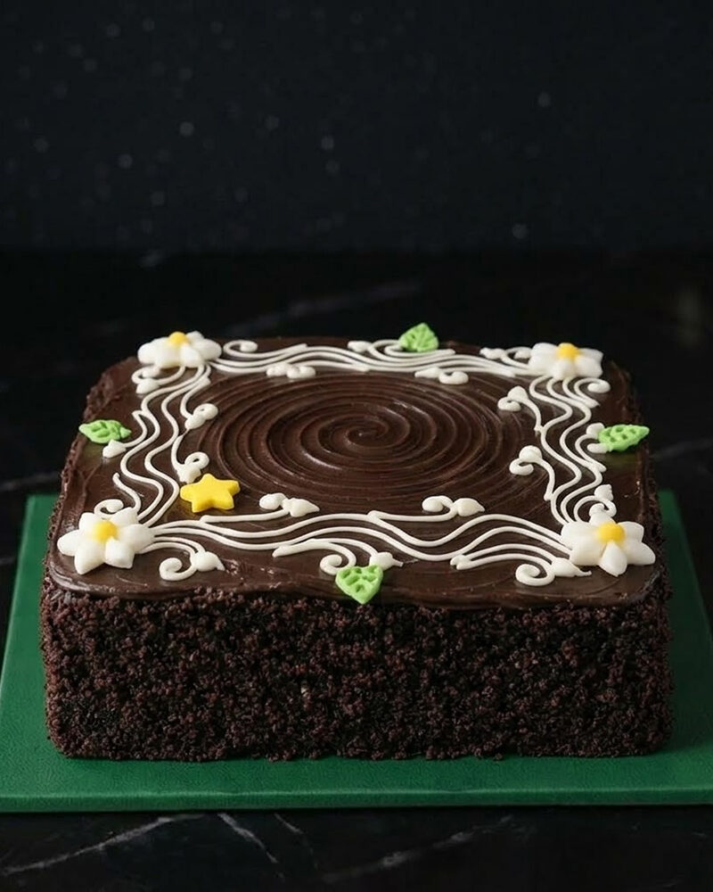 Special Chocolate Cake
